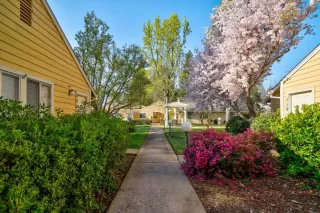 Photo #2: 222032331 Listing 