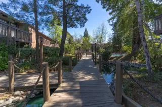 Photo #2: 222032727 Listing 