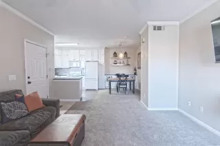 Photo #4: 222033689 Listing 