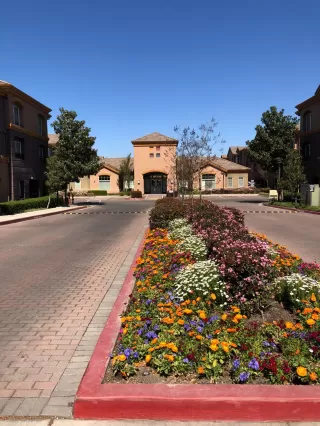 Photo #1: 222034068 Listing 
