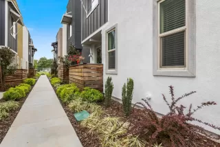 Photo #5: 222035963 Listing