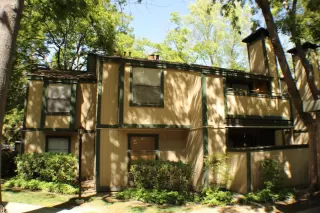 Photo #2: 222036618 Listing 