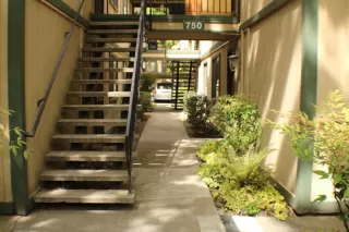 Photo #5: 222036618 Listing 