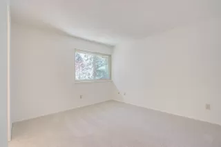 Photo #6: 222036857 Listing 