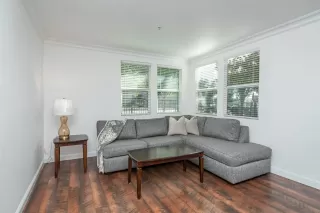 Photo #5: 222038392 Listing