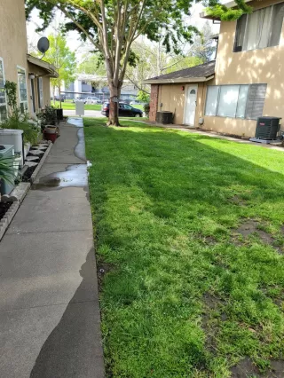 Photo #5: 222038809 Listing