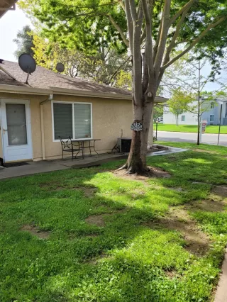 Photo #6: 222038809 Listing