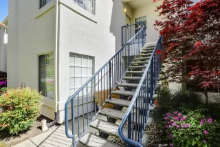 Photo #1: 222038996 Listing 