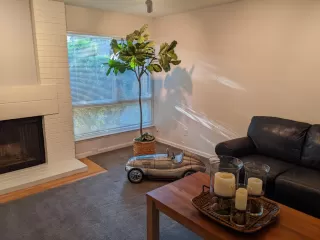 Photo #4: 222039220 Listing