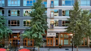 Photo #2: 222039537 Listing 