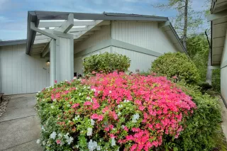Photo #1: 222041135 Listing 