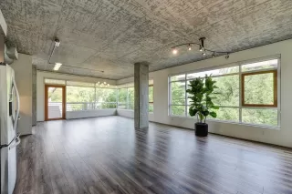 Photo #1: 222043900 Listing 