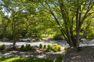 Photo #1: 222044407 Listing 