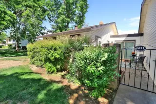 Photo #3: 222044552 Listing