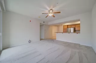 Photo #4: 222045086 Listing 
