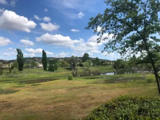 Photo #4: 222046356 Listing