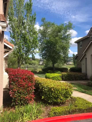 Photo #6: 222046356 Listing