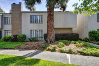 Photo #1: 222046626 Listing