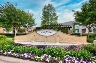 Photo #2: 222047306 Listing 