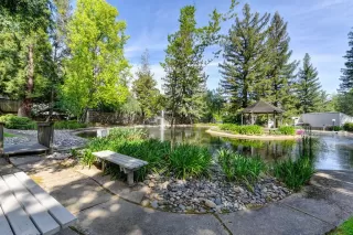 Photo #3: 222047948 Listing