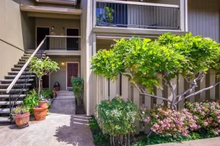 Photo #2: 222048488 Listing