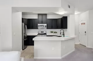 Photo #6: 222048669 Listing