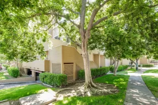 Photo #1: 222049596 Listing