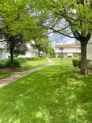 Photo #1: 222049731 Listing
