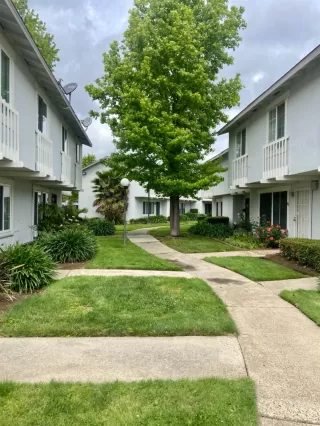 Photo #2: 222049731 Listing