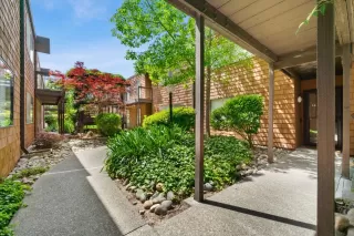 Photo #3: 222051288 Listing