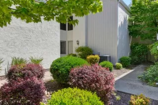 Photo #6: 222052213 Listing 