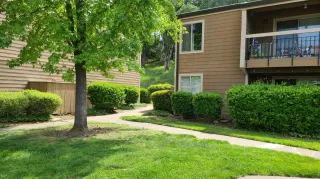 Photo #2: 222052386 Listing