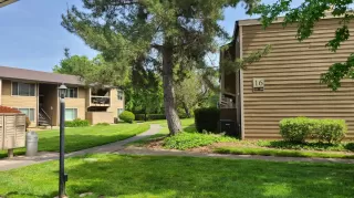 Photo #3: 222052386 Listing