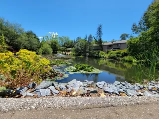 Photo #1: 222052672 Listing