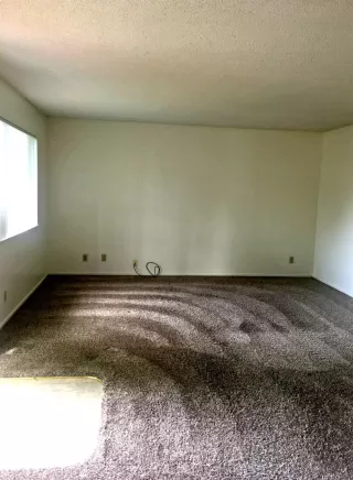 Photo #2: 222053061 Listing