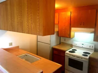 Photo #4: 222053061 Listing