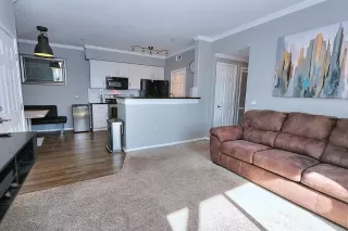 Photo #4: 222053451 Listing