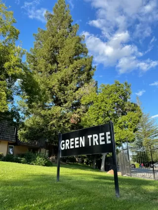 Photo #3: 222055836 Listing 