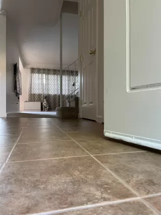 Photo #6: 222055836 Listing 