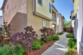 Photo #2: 222056189 Listing 