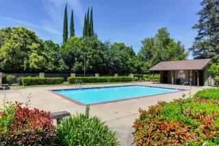 Photo #3: 222056951 Listing