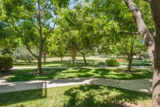 Photo #3: 222057234 Listing 