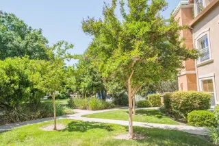 Photo #6: 222057234 Listing 