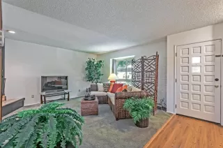 Photo #1: 222057400 Listing 