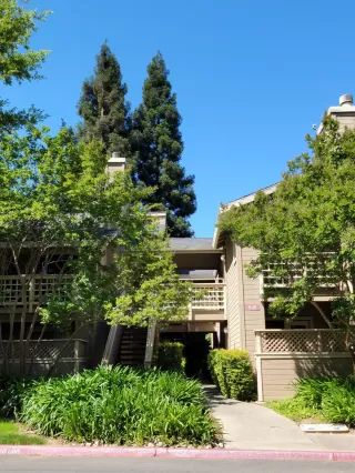 Photo #2: 222057655 Listing