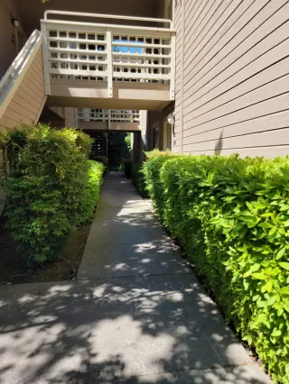 Photo #3: 222057655 Listing