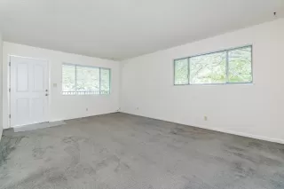 Photo #4: 222058299 Listing