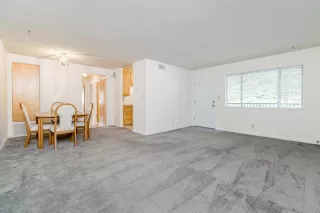 Photo #5: 222058299 Listing