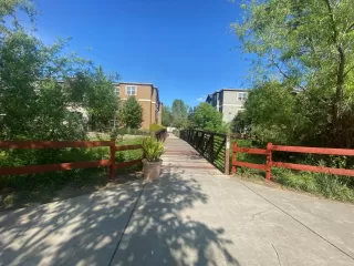Photo #5: 222060814 Listing 