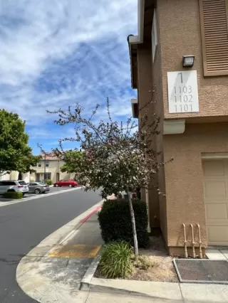 Photo #1: 222063200 Listing 